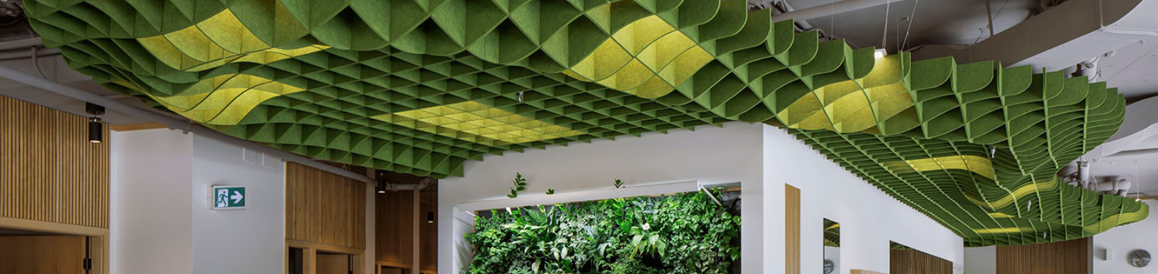Acoustic Ceiling & Wall