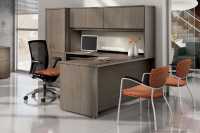 Adaptabilities Series Executive Suites