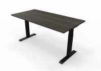 CLEO Height Adjustable Desk