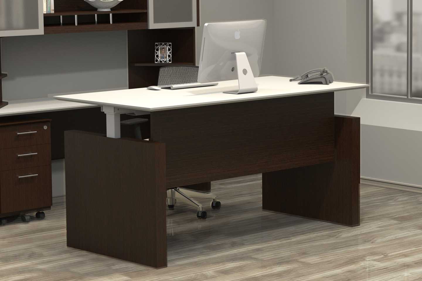 Minimalist Height Adjustable Desk Best Buy with RGB