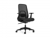 Fame Ergonomic Chair - Buy Rite  