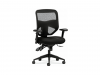 Prominent-task chair-Buyrite